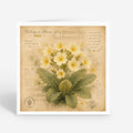 PP-GRE-6x6-ENVELOPE-1-5-PACK - Square Greetings Cards Mockup