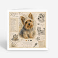 PP-GRE-6x6-ENVELOPE - Square Greetings Cards Mockup