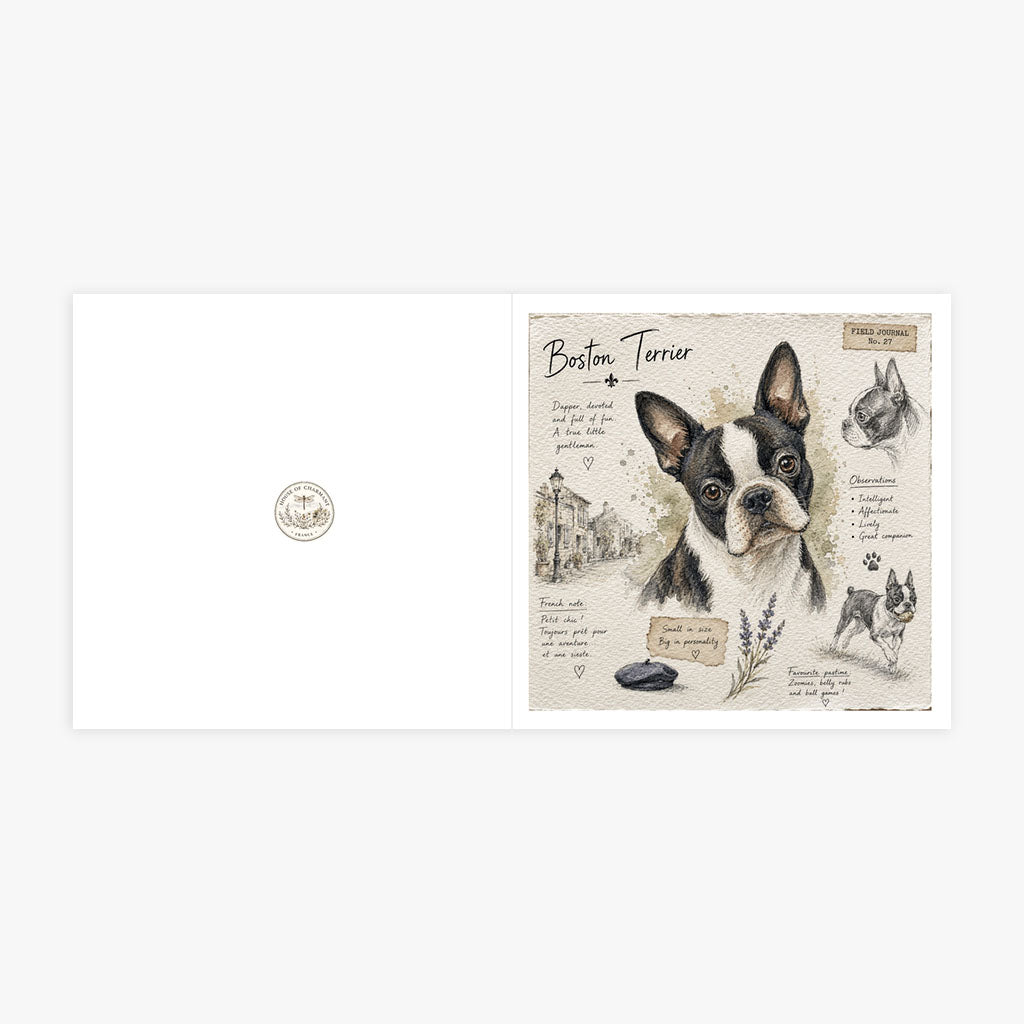 PP-GRE-6x6-ENVELOPE - Square Greetings Cards Mockup