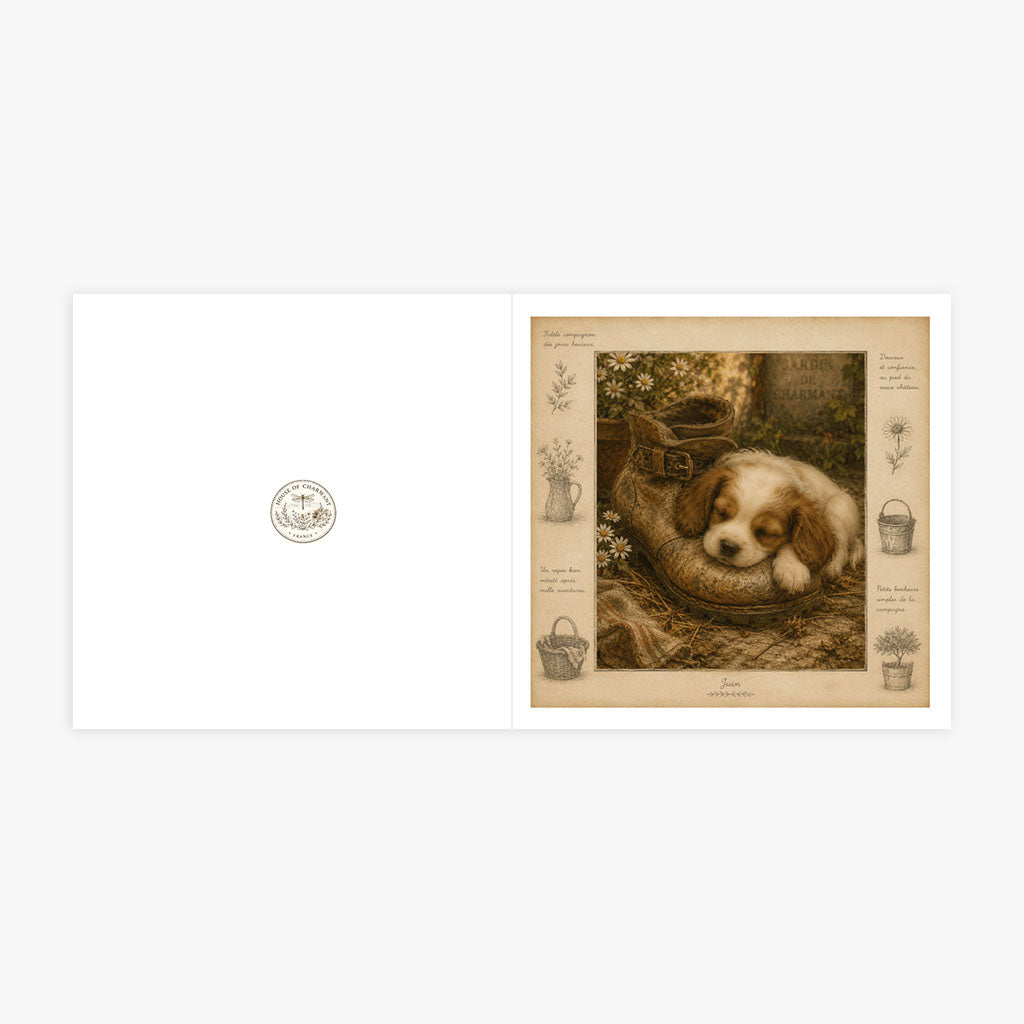 PP-GRE-6x6-ENVELOPE - Square Greetings Cards Mockup