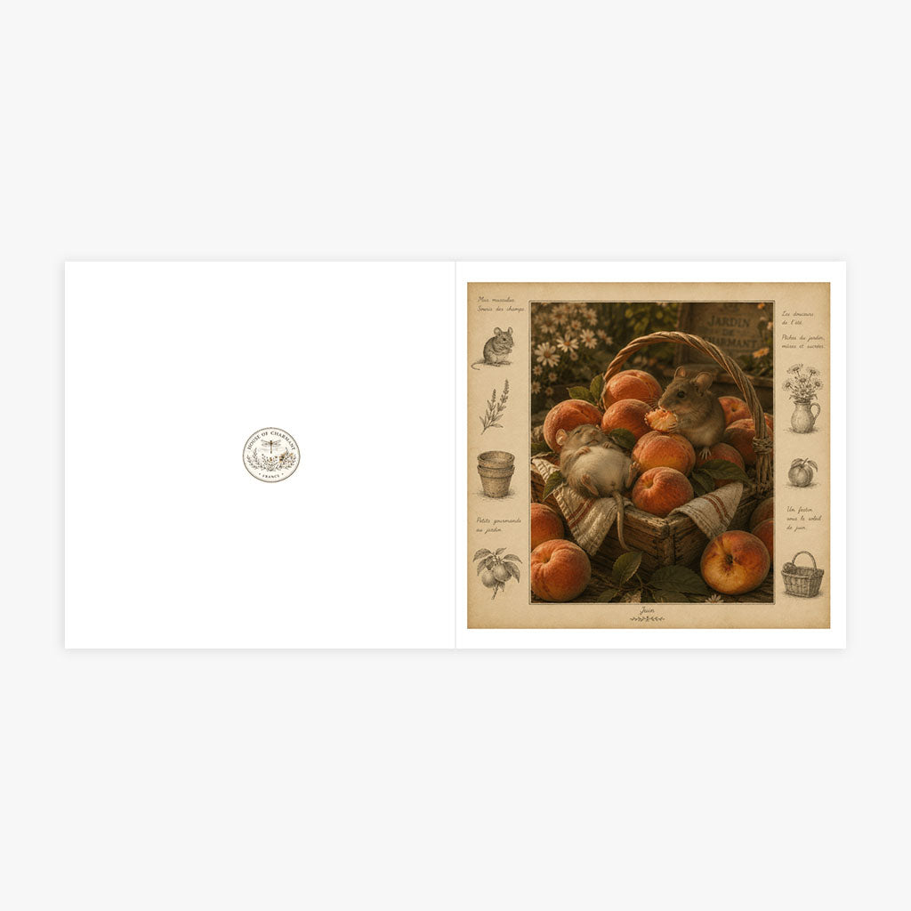 PP-GRE-6x6-ENVELOPE - Square Greetings Cards Mockup