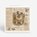PP-GRE-6x6-ENVELOPE - Square Greetings Cards Mockup