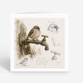 PP-GRE-6x6-ENVELOPE - Square Greetings Cards Mockup