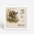 PP-GRE-6x6-ENVELOPE - Square Greetings Cards Mockup