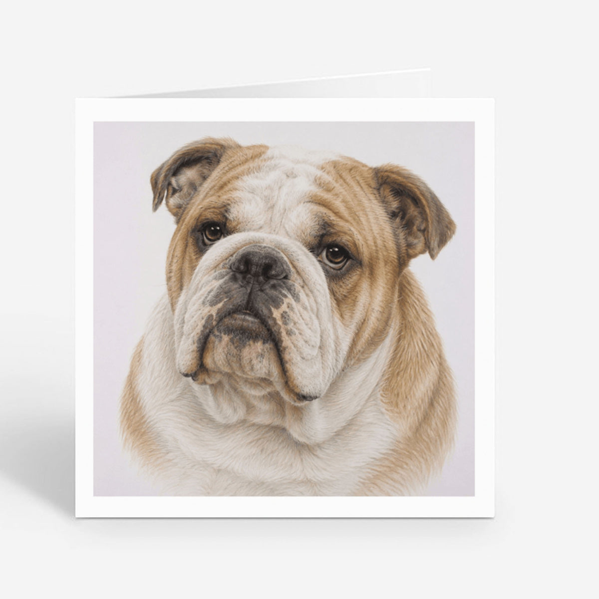 PP-GRE-6x6-ENVELOPE - Square Greetings Cards Mockup
