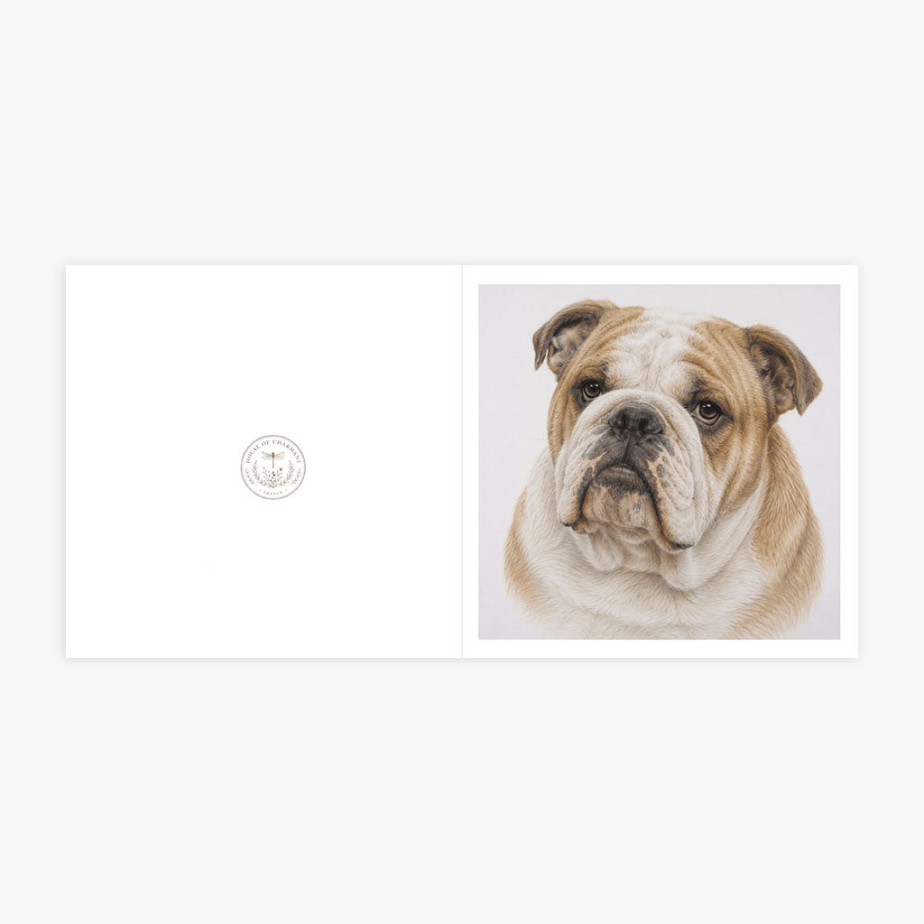 PP-GRE-6x6-ENVELOPE - Square Greetings Cards Mockup