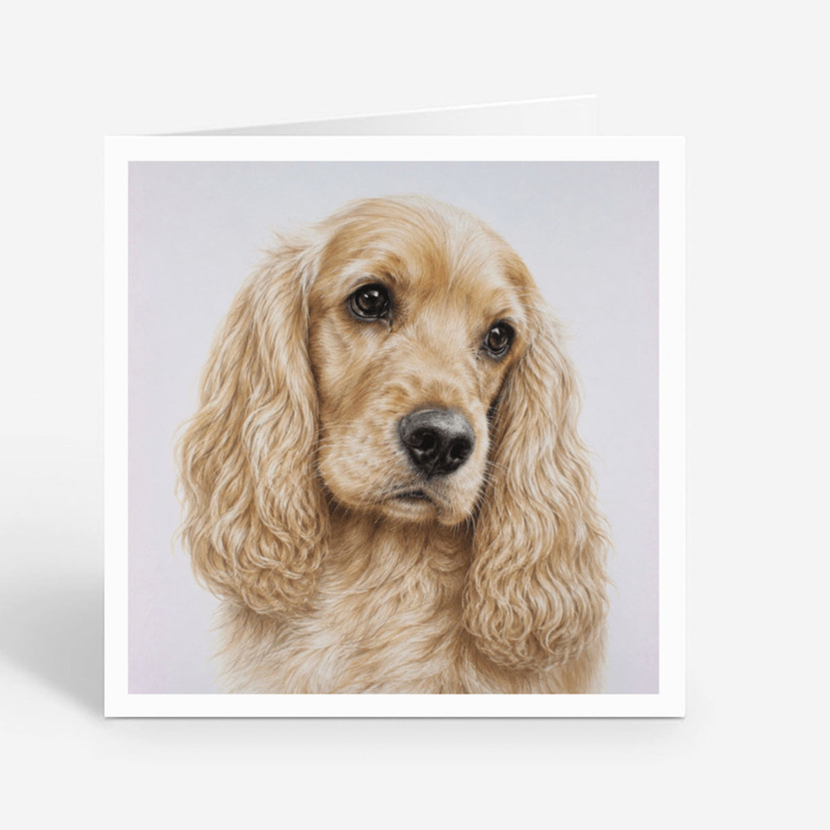 PP-GRE-6x6-ENVELOPE - Square Greetings Cards Mockup