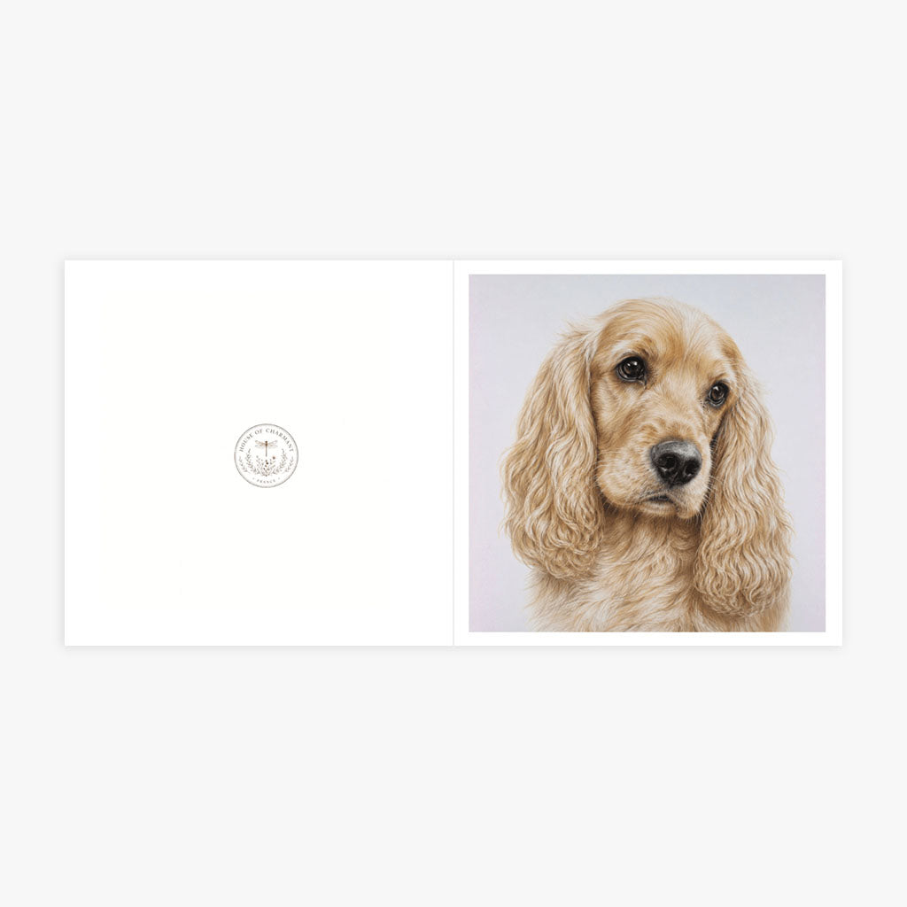 PP-GRE-6x6-ENVELOPE - Square Greetings Cards Mockup