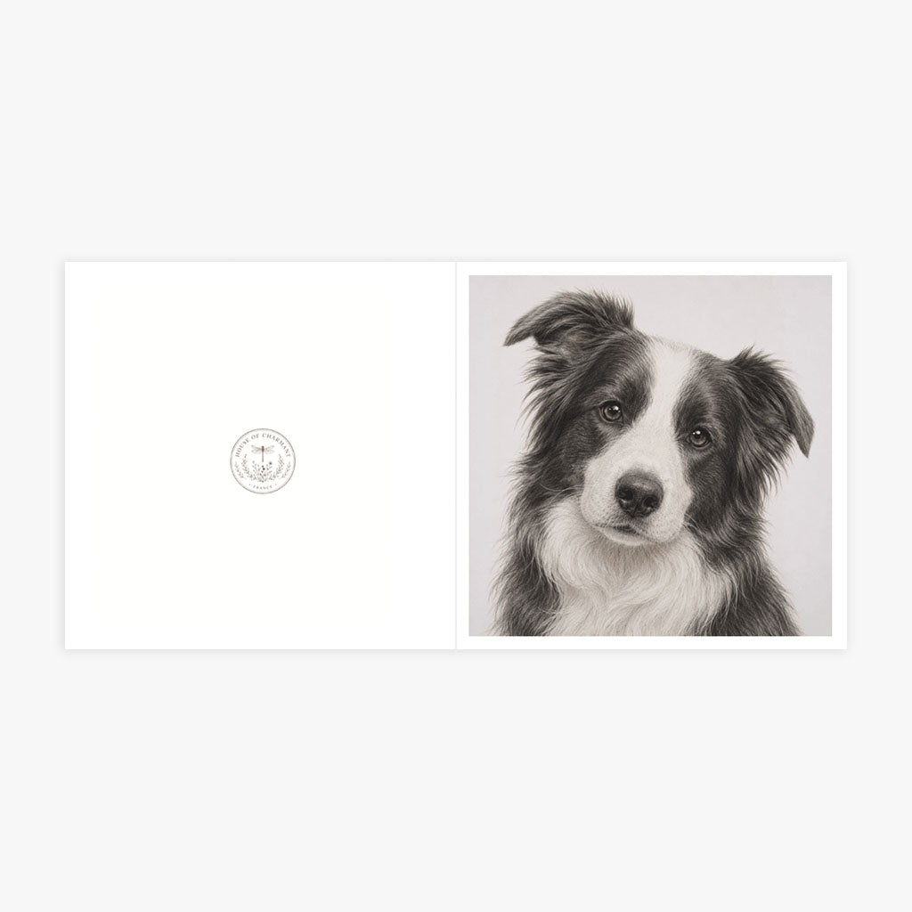 PP-GRE-6x6-ENVELOPE - Square Greetings Cards Mockup