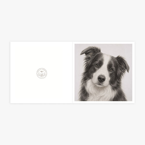 PP-GRE-6x6-ENVELOPE - Square Greetings Cards Mockup