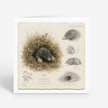PP-GRE-6x6-ENVELOPE - Square Greetings Cards Mockup