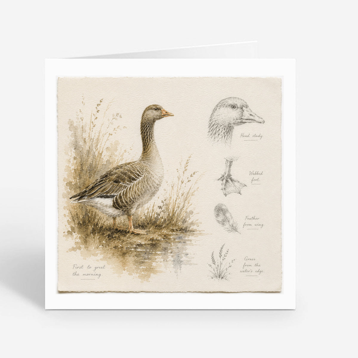 PP-GRE-6x6-ENVELOPE - Square Greetings Cards Mockup