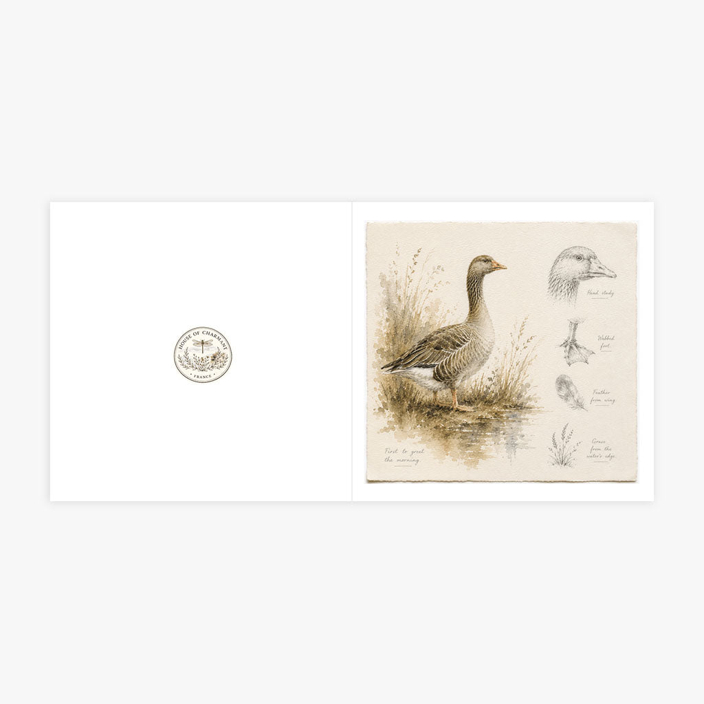 PP-GRE-6x6-ENVELOPE - Square Greetings Cards Mockup