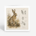 PP-GRE-6x6-ENVELOPE - Square Greetings Cards Mockup