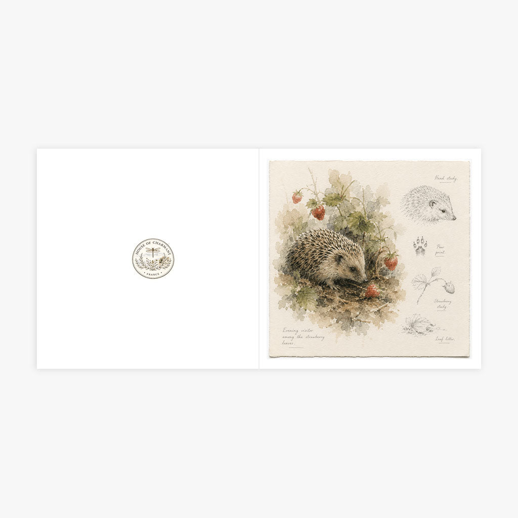 PP-GRE-6x6-ENVELOPE - Square Greetings Cards Mockup