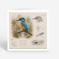 PP-GRE-6x6-ENVELOPE - Square Greetings Cards Mockup