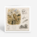 PP-GRE-6x6-ENVELOPE - Square Greetings Cards Mockup
