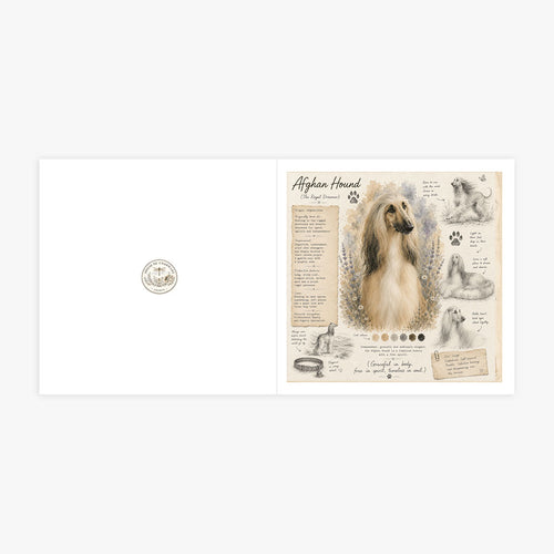 PP-GRE-6x6-ENVELOPE - Square Greetings Cards Mockup