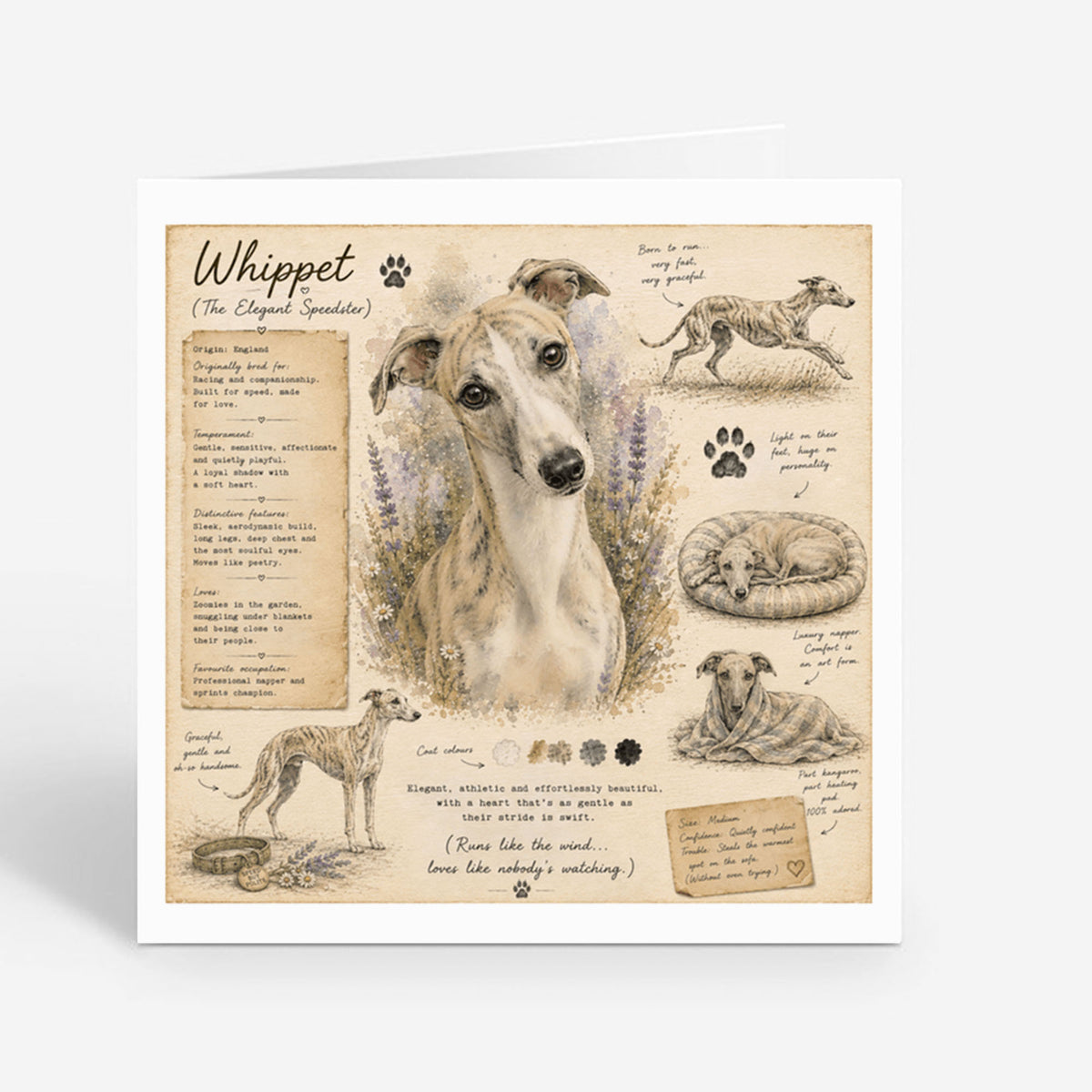 PP-GRE-6x6-ENVELOPE - Square Greetings Cards Mockup