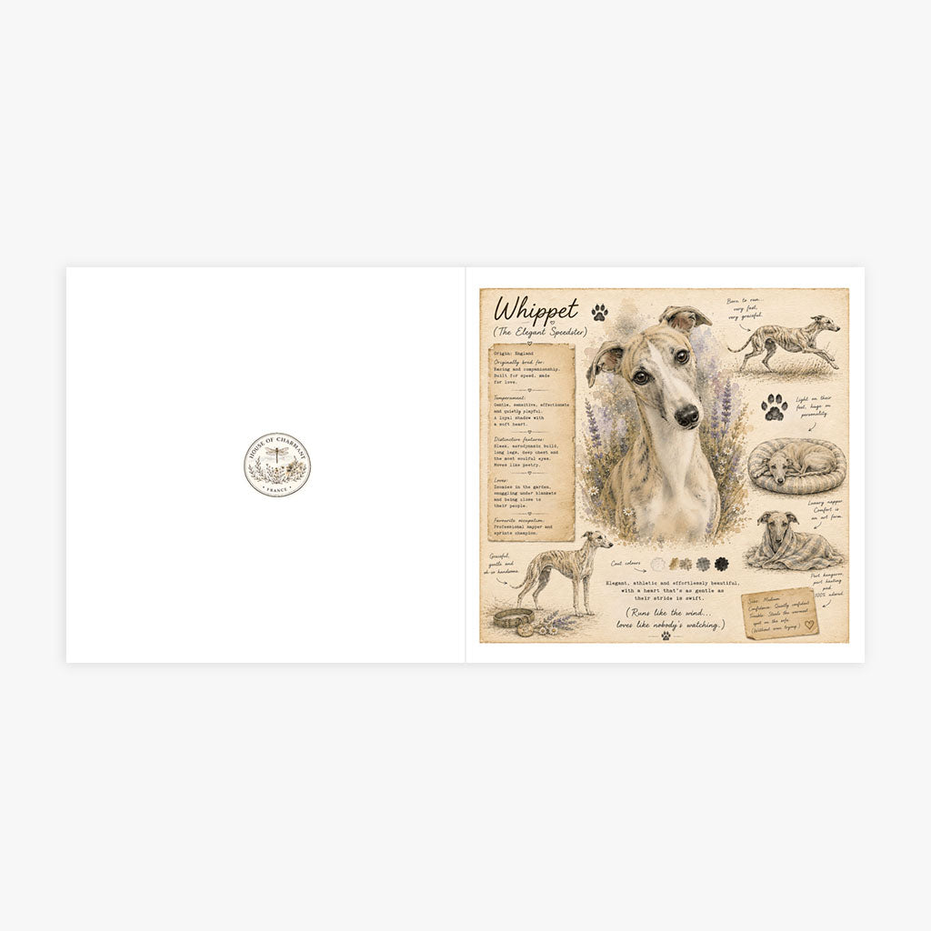 PP-GRE-6x6-ENVELOPE - Square Greetings Cards Mockup
