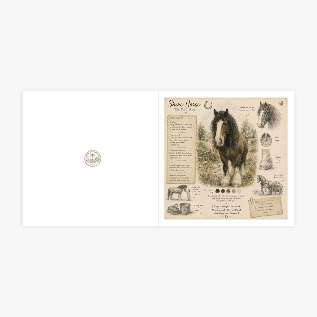 PP-GRE-6x6-ENVELOPE - Square Greetings Cards Mockup