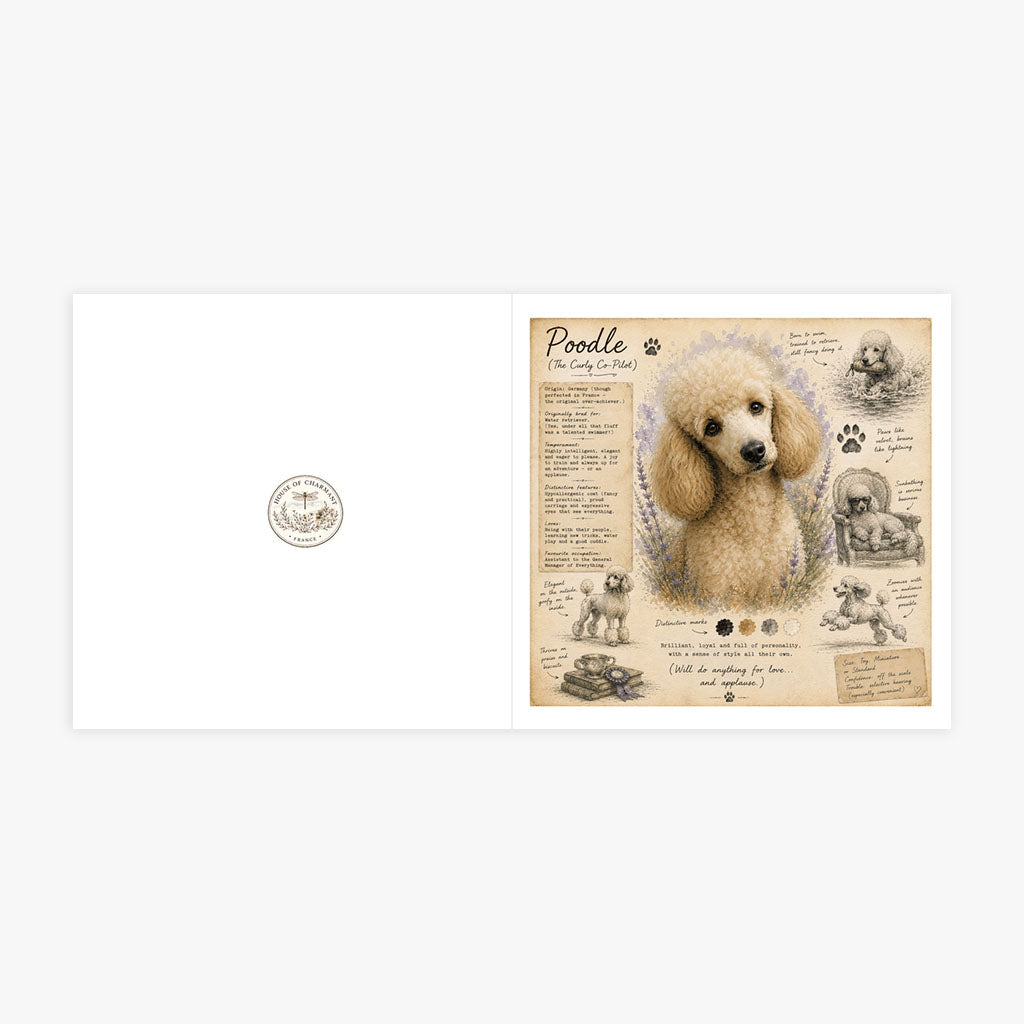 PP-GRE-6x6-ENVELOPE - Square Greetings Cards Mockup