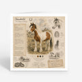 PP-GRE-6x6-ENVELOPE - Square Greetings Cards Mockup