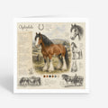 PP-GRE-6x6-ENVELOPE - Square Greetings Cards Mockup