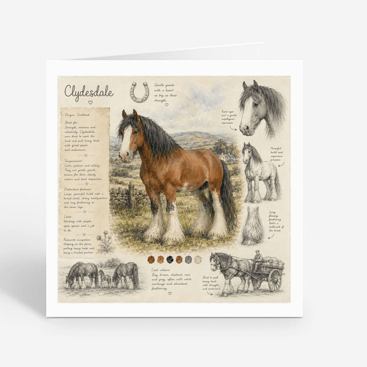 PP-GRE-6x6-ENVELOPE - Square Greetings Cards Mockup