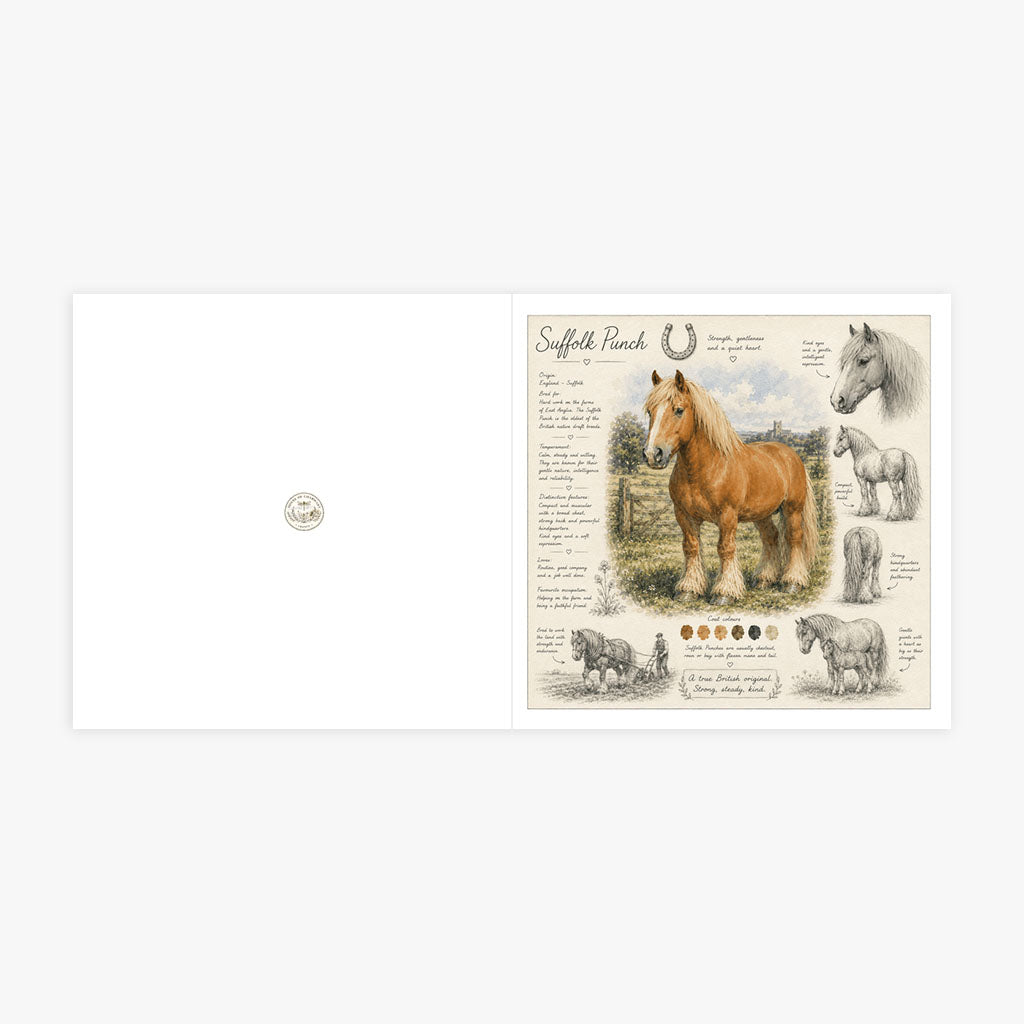 PP-GRE-6x6-ENVELOPE - Square Greetings Cards Mockup