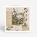 PP-GRE-6x6-ENVELOPE - Square Greetings Cards Mockup