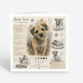 PP-GRE-6x6-ENVELOPE - Square Greetings Cards Mockup