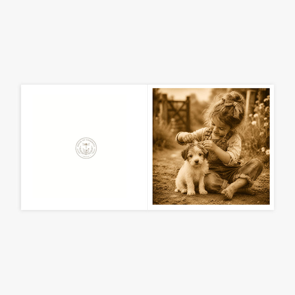 PP-GRE-6x6-ENVELOPE - Square Greetings Cards Mockup