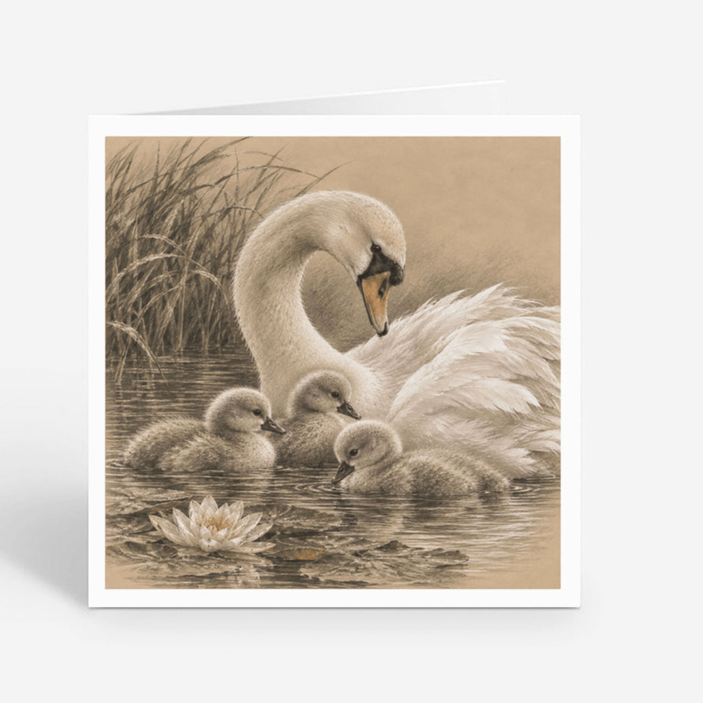 PP-GRE-6x6-ENVELOPE - Square Greetings Cards Mockup