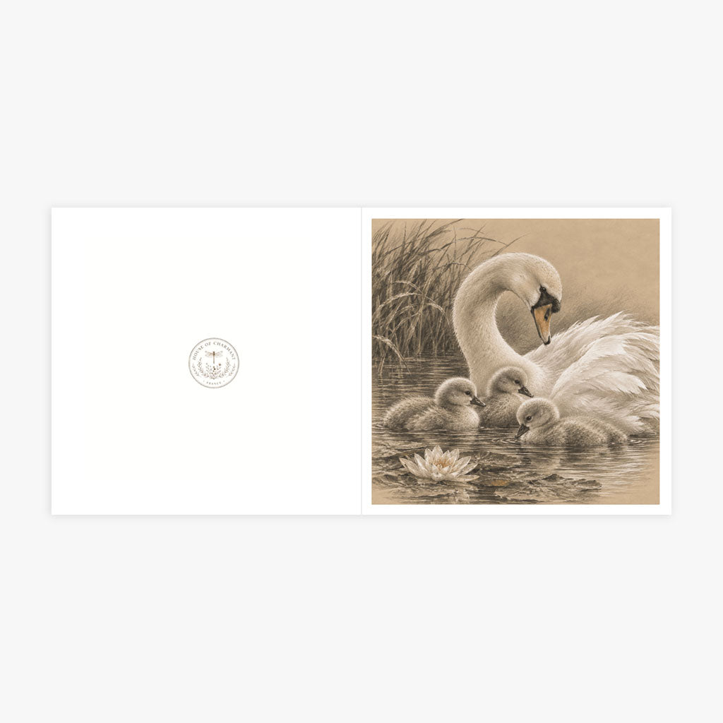 PP-GRE-6x6-ENVELOPE - Square Greetings Cards Mockup