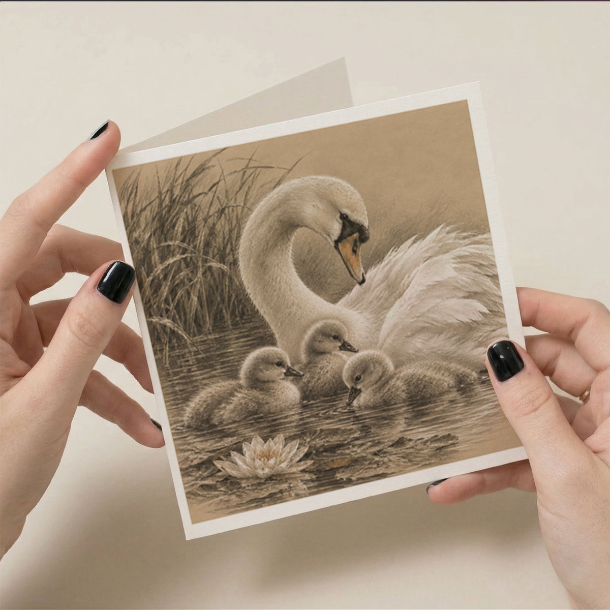 PP-GRE-6x6-ENVELOPE - Square Greetings Cards Mockup