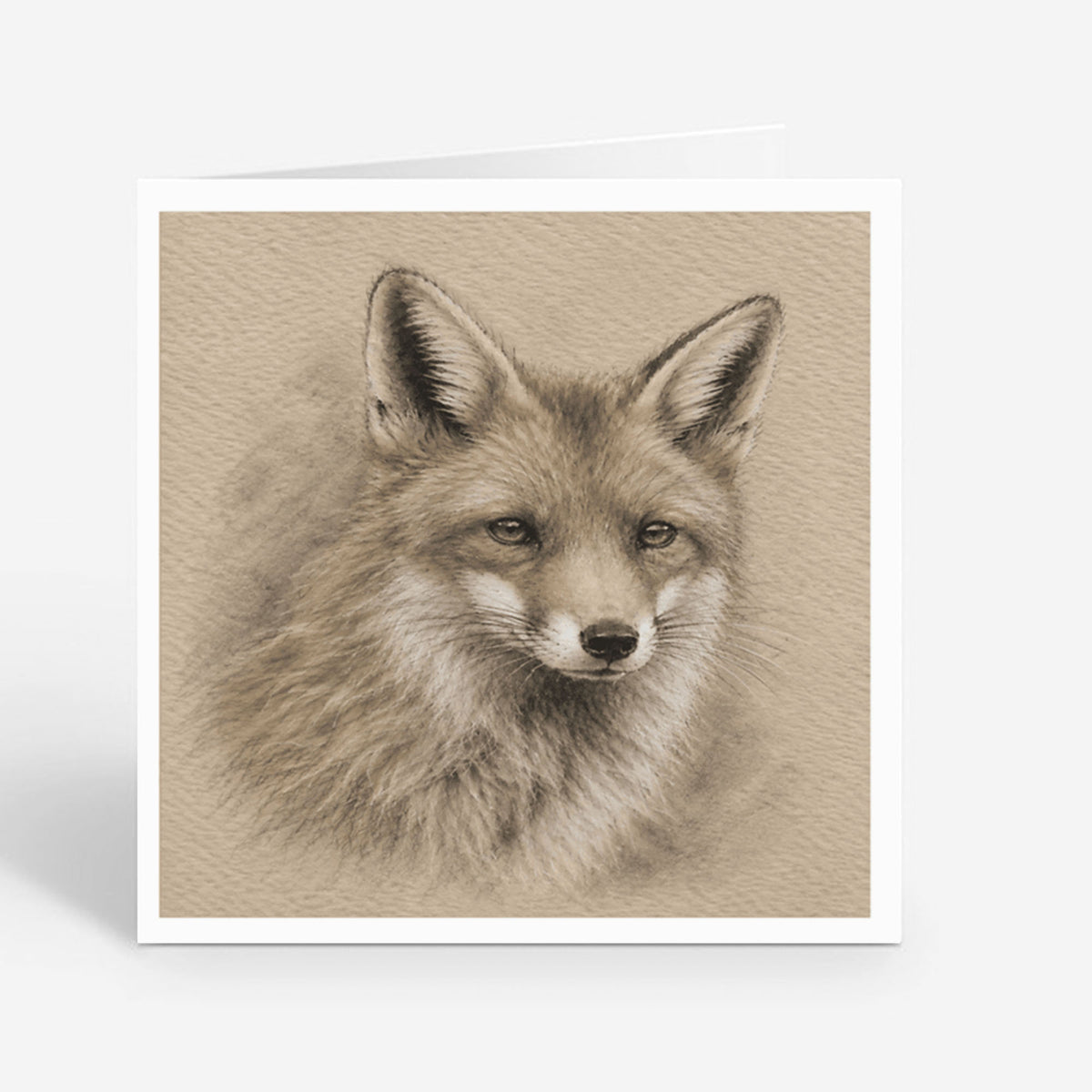 PP-GRE-6x6-ENVELOPE - Square Greetings Cards Mockup