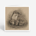 PP-GRE-6x6-ENVELOPE - Square Greetings Cards Mockup