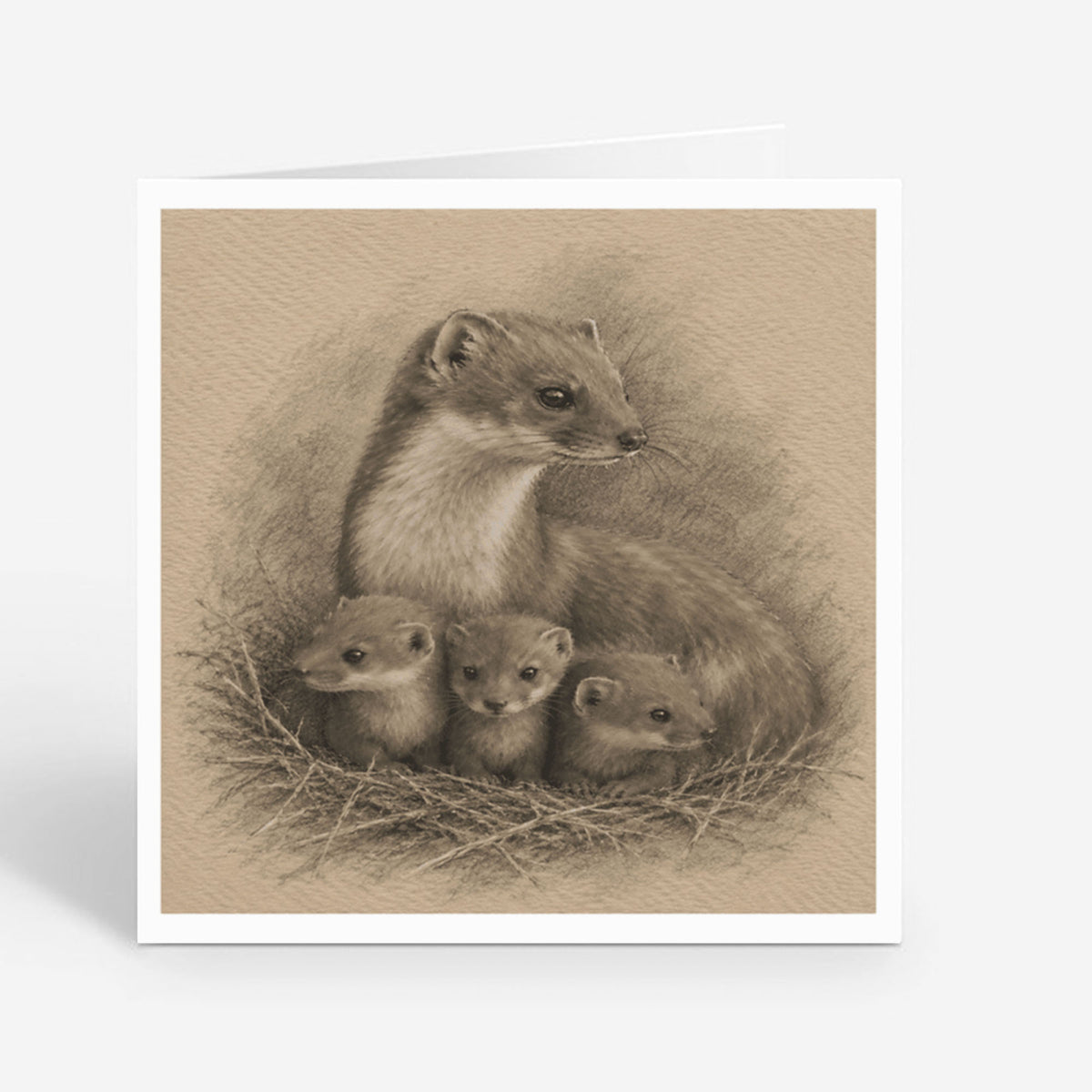 PP-GRE-6x6-ENVELOPE - Square Greetings Cards Mockup