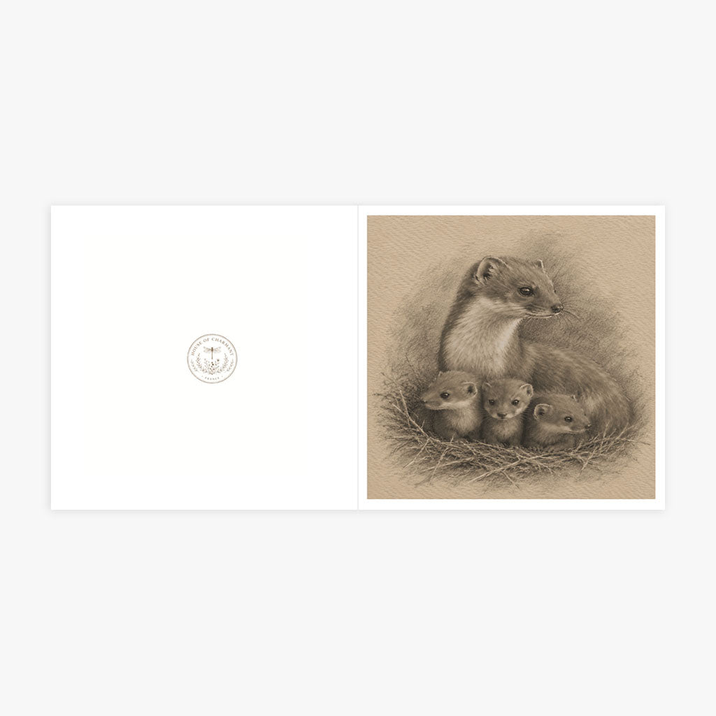 PP-GRE-6x6-ENVELOPE - Square Greetings Cards Mockup