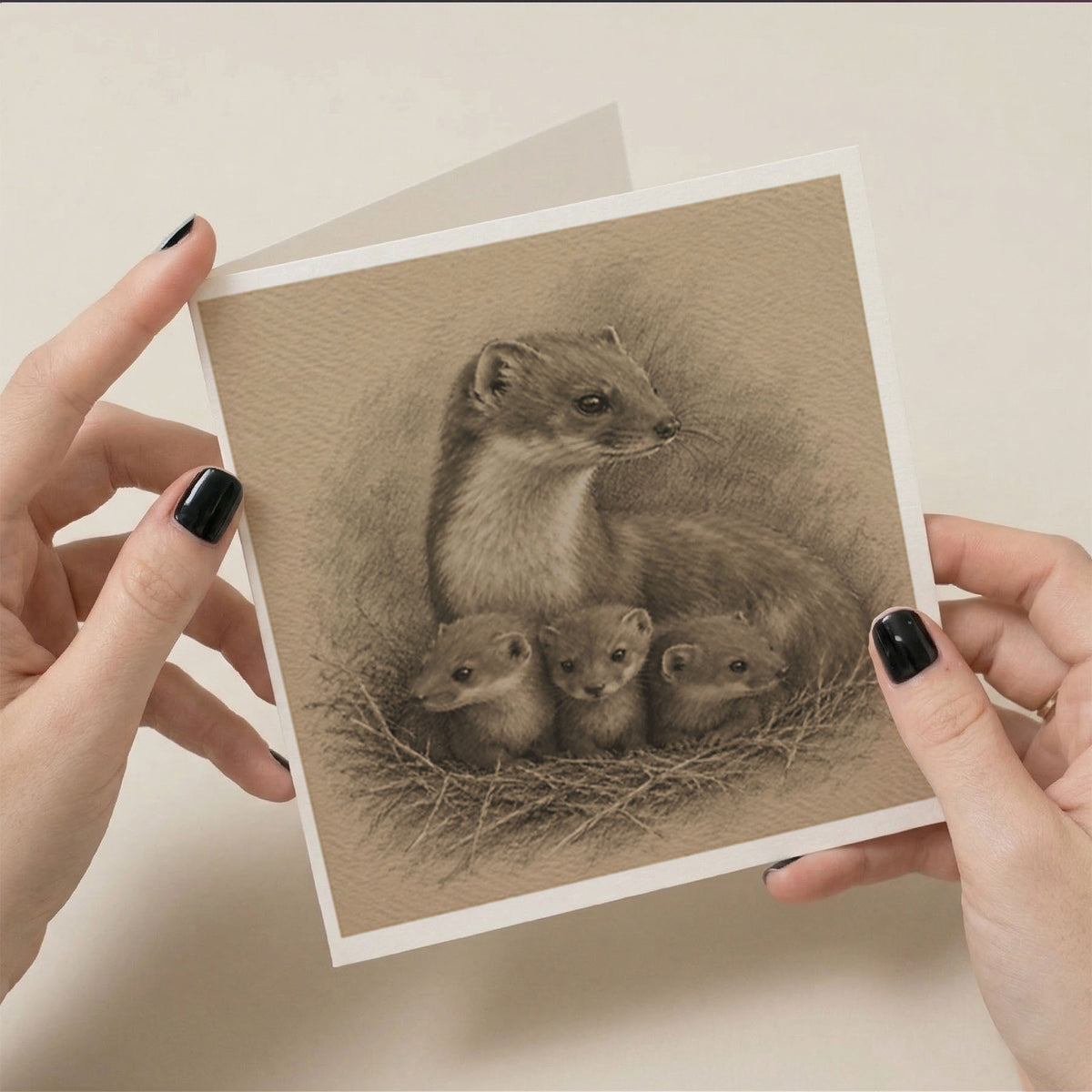 PP-GRE-6x6-ENVELOPE - Square Greetings Cards Mockup