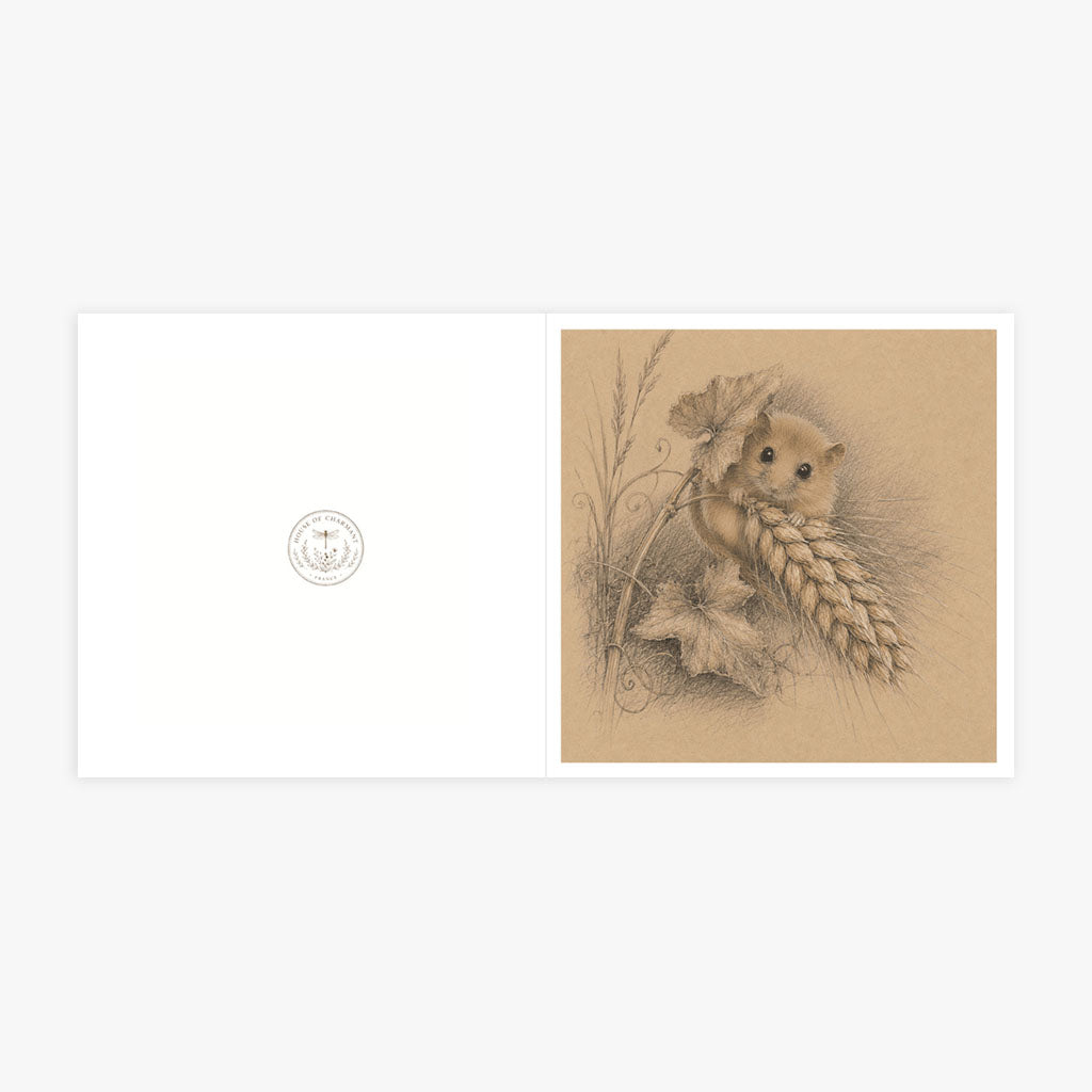 PP-GRE-6x6-ENVELOPE - Square Greetings Cards Mockup