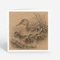 PP-GRE-6x6-ENVELOPE - Square Greetings Cards Mockup