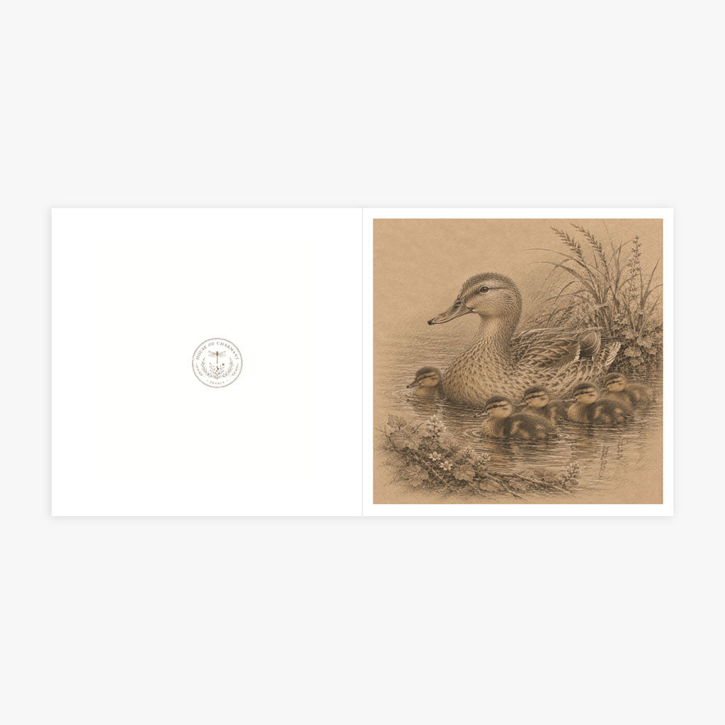 PP-GRE-6x6-ENVELOPE - Square Greetings Cards Mockup