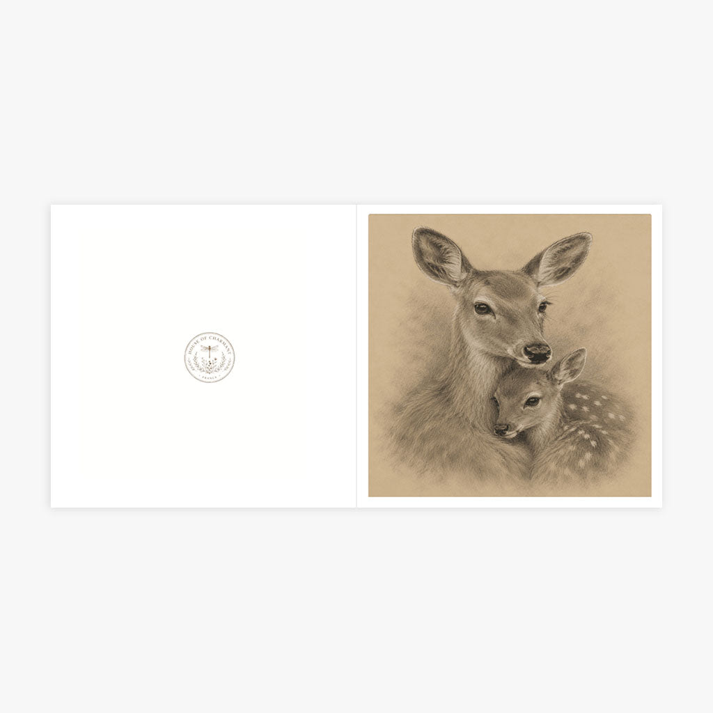 PP-GRE-6x6-ENVELOPE - Square Greetings Cards Mockup