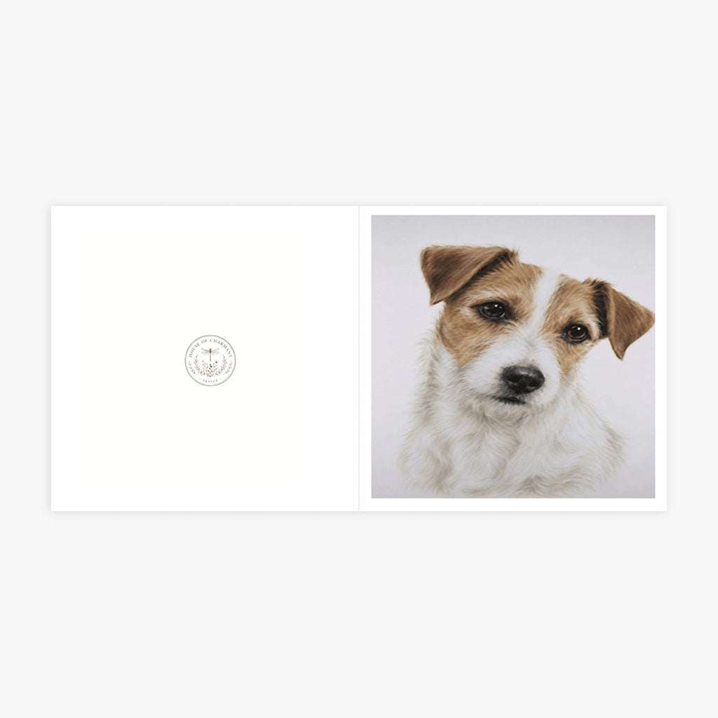 PP-GRE-6x6-ENVELOPE - Square Greetings Cards Mockup