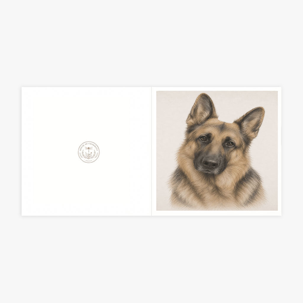 PP-GRE-6x6-ENVELOPE - Square Greetings Cards Mockup