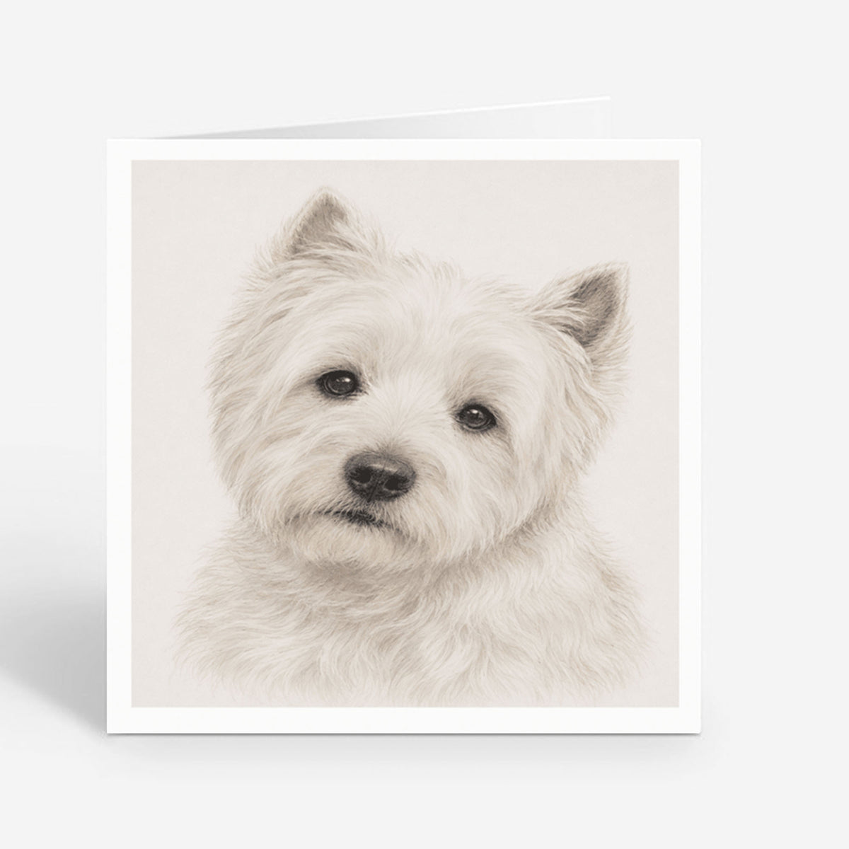 PP-GRE-6x6-ENVELOPE - Square Greetings Cards Mockup