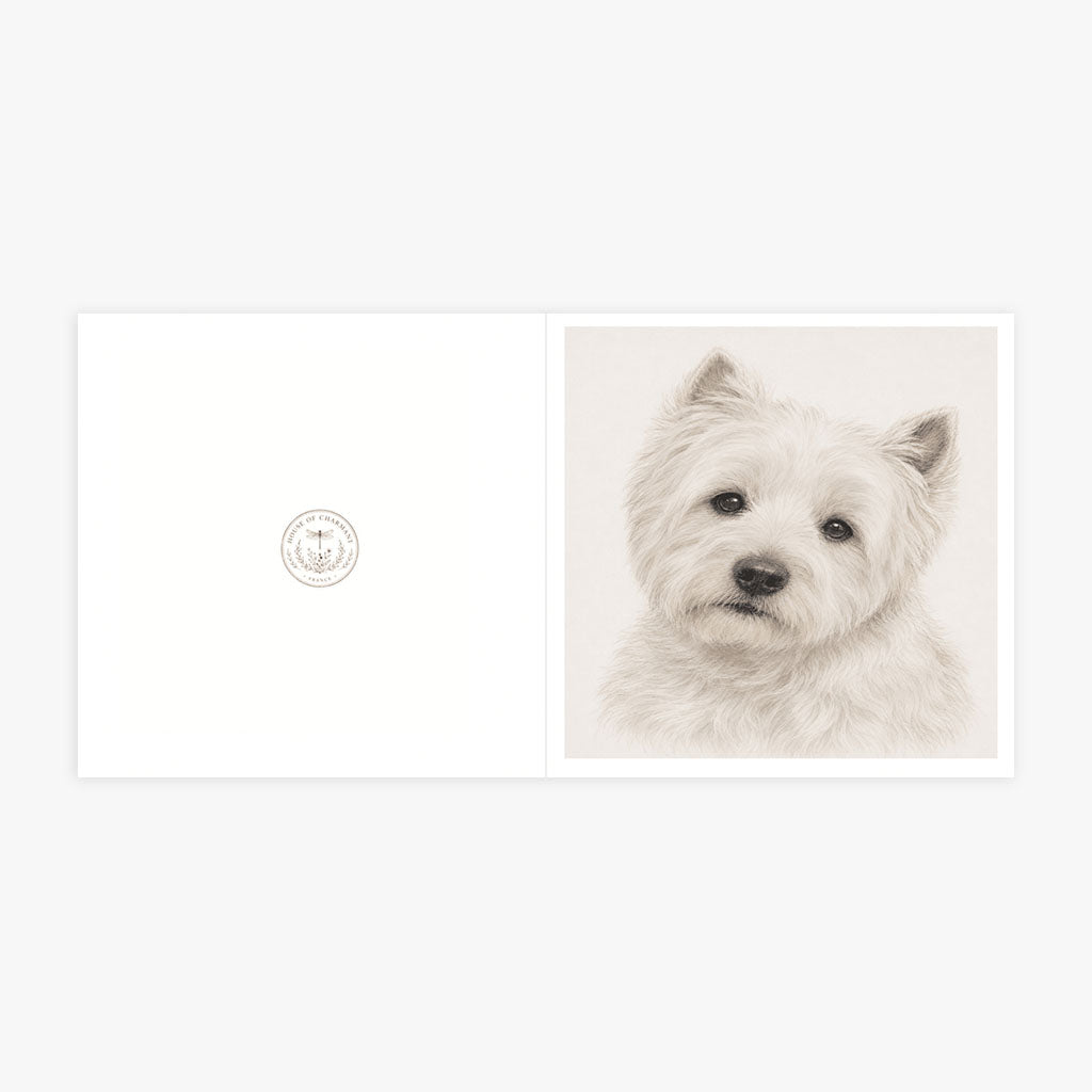 PP-GRE-6x6-ENVELOPE - Square Greetings Cards Mockup