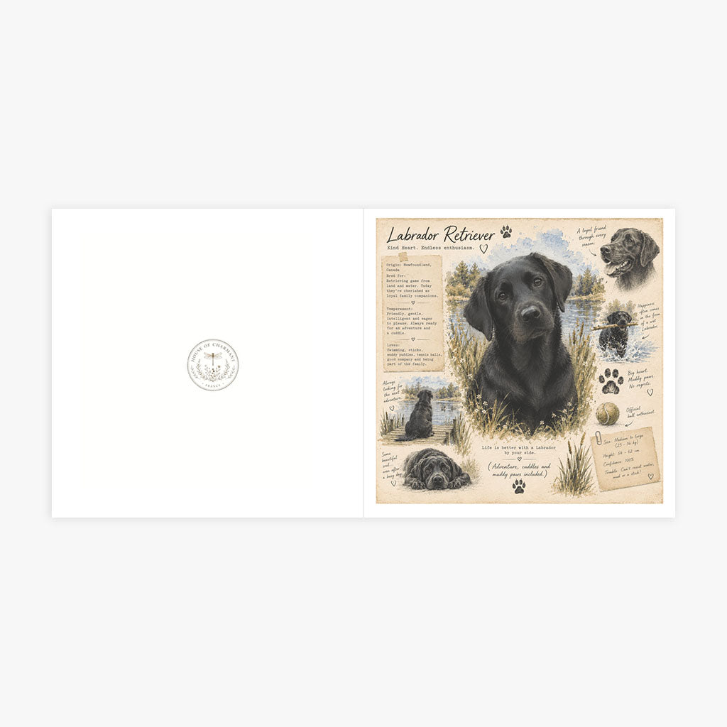PP-GRE-6x6-ENVELOPE - Square Greetings Cards Mockup
